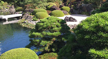 淺談中國古典園林中的假山藝術